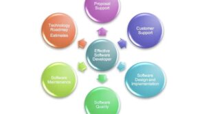 Core Skills That Define Professional Website Designers in Today's Market